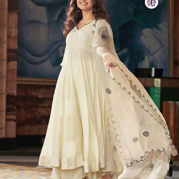 Vichitra-Silk primary image